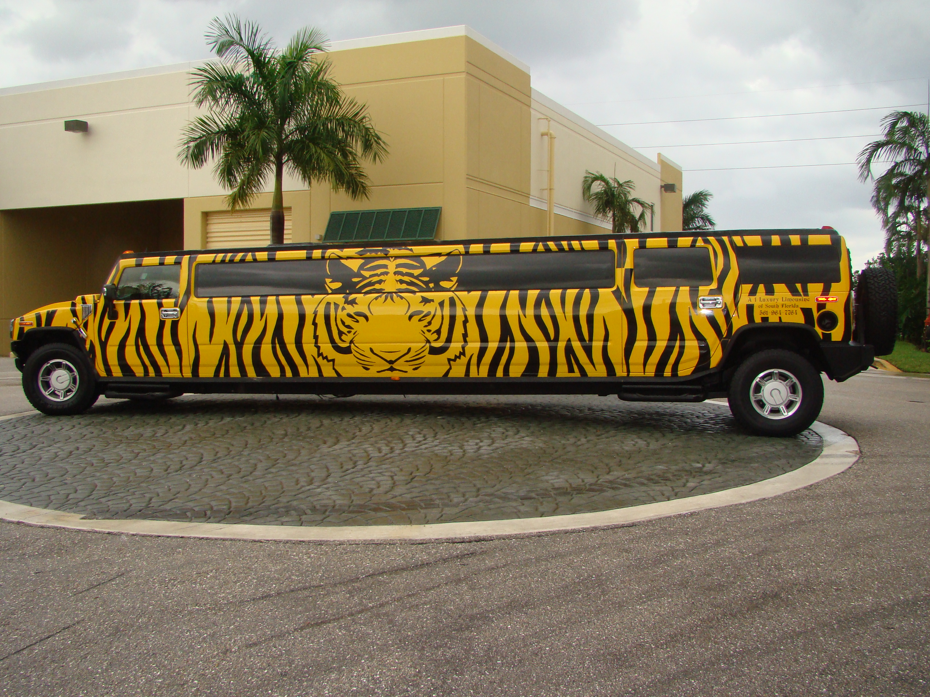 tiger-hummer-limo.jpg